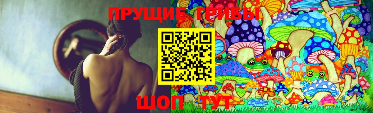 Энгельс  Галлюциногенные грибы Psilocybe  Вход с VPN 